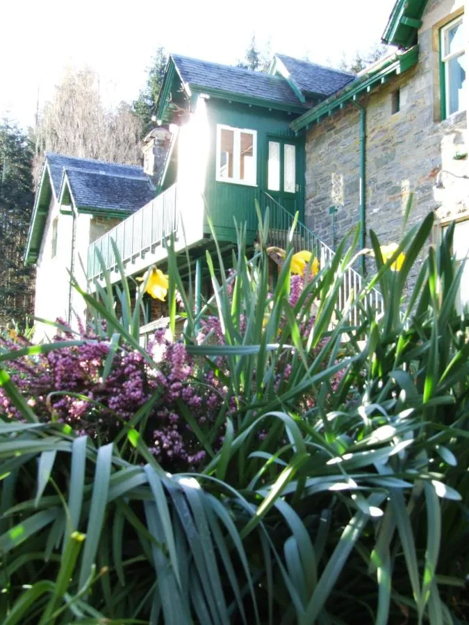 Flowering garden borders beside the apartments at Auchmore in summer
